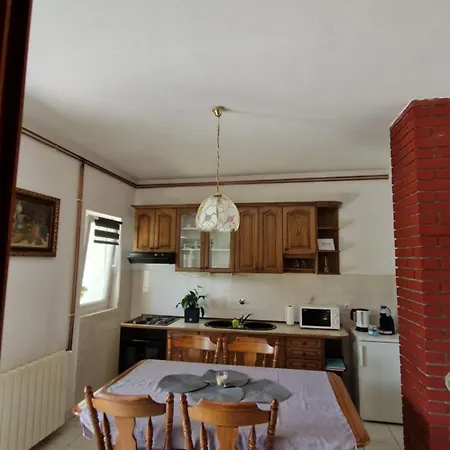 Apartment Dobric *