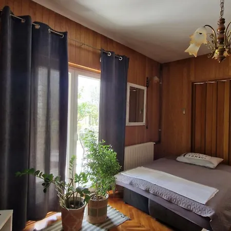 Apartment Dobric *