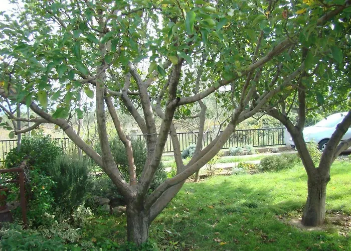 Dobric Appartamento *